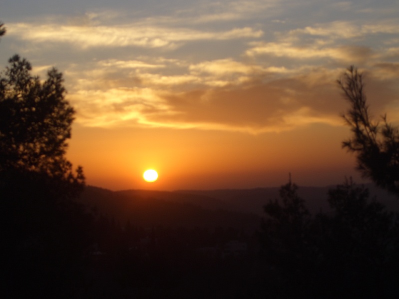 20070125-170456-Jerusalem-Forest-sunset-C0727.jpg