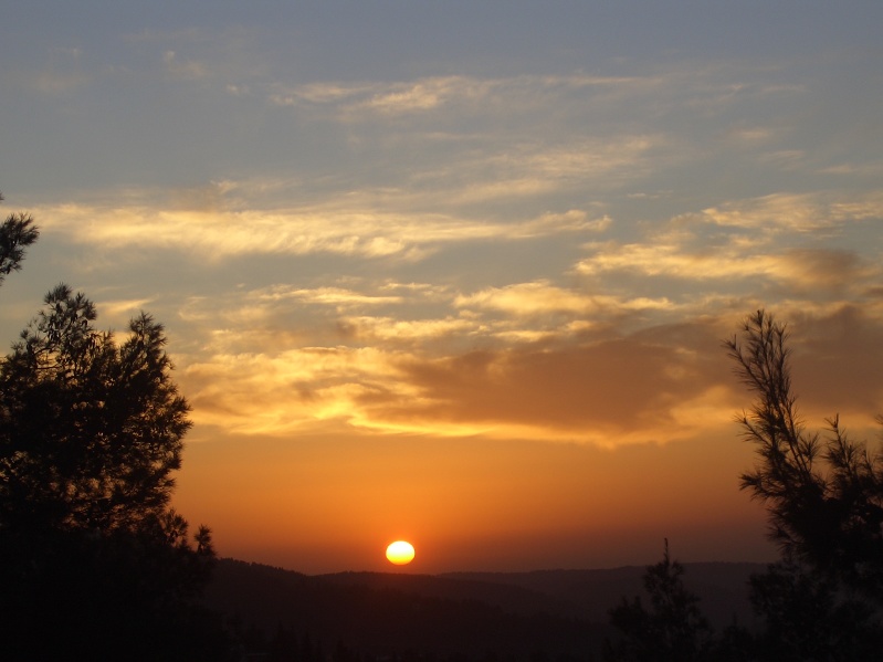 20070125-170622-Jerusalem-Forest-sunset-C0730.jpg