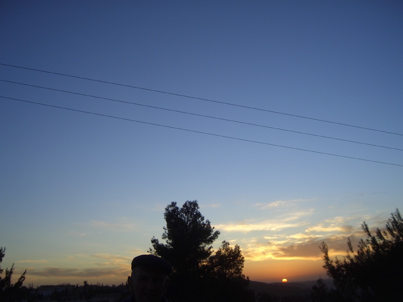 20070125-170746-Jerusalem-Forest-sunset-C0735.jpg