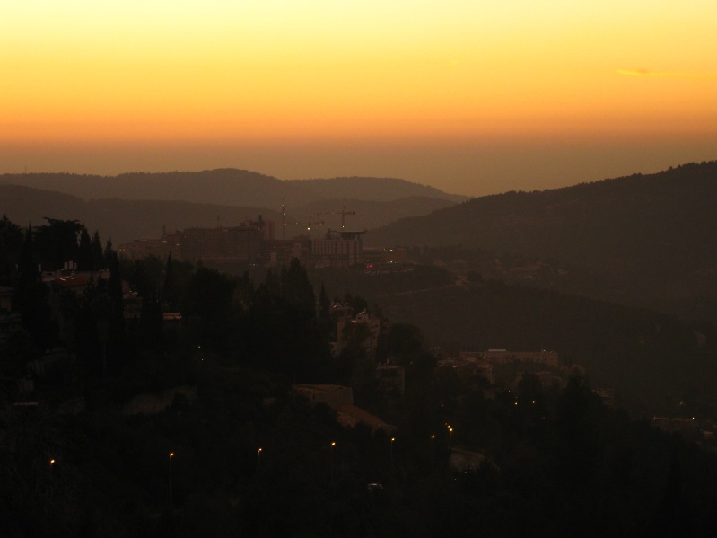 20100107-165814-Jerusalem-Forest-sunset-C4114.jpg
