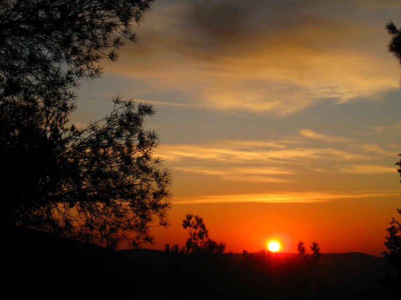 20100207-171750-Jerusalem-Forest-sunset-C4599.jpg