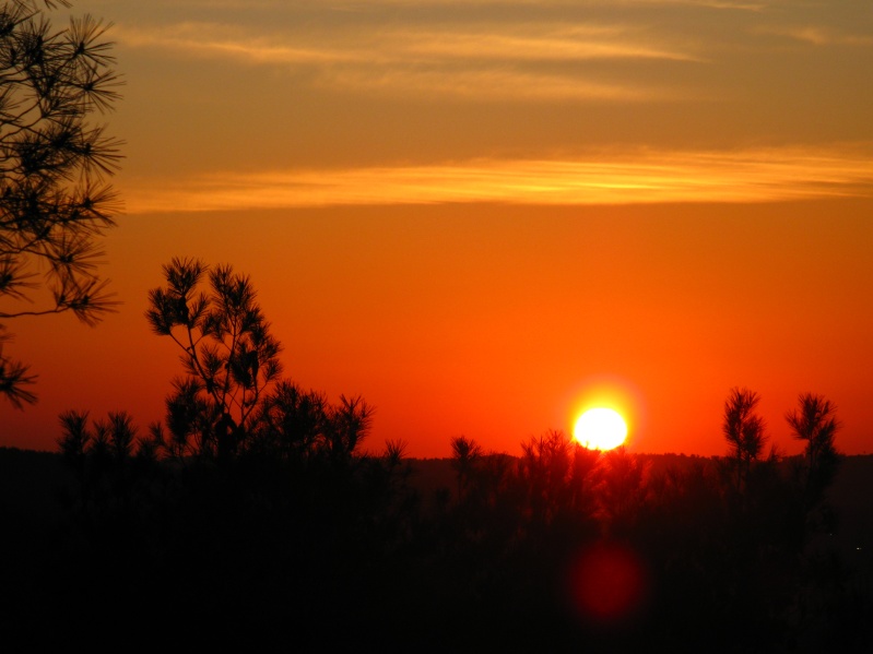 20100207-171812-Jerusalem-Forest-sunset-C4600.jpg