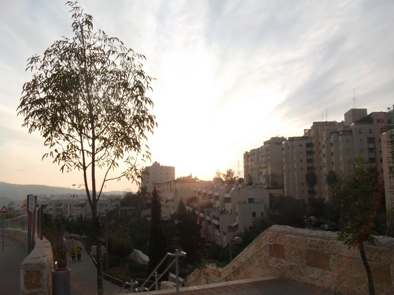20131207-155628-Jerusalem-Ramat-Sharet-sunset-F5523.jpg