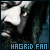  Hagrid fan! 