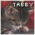 Tabby cats