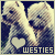 Westie