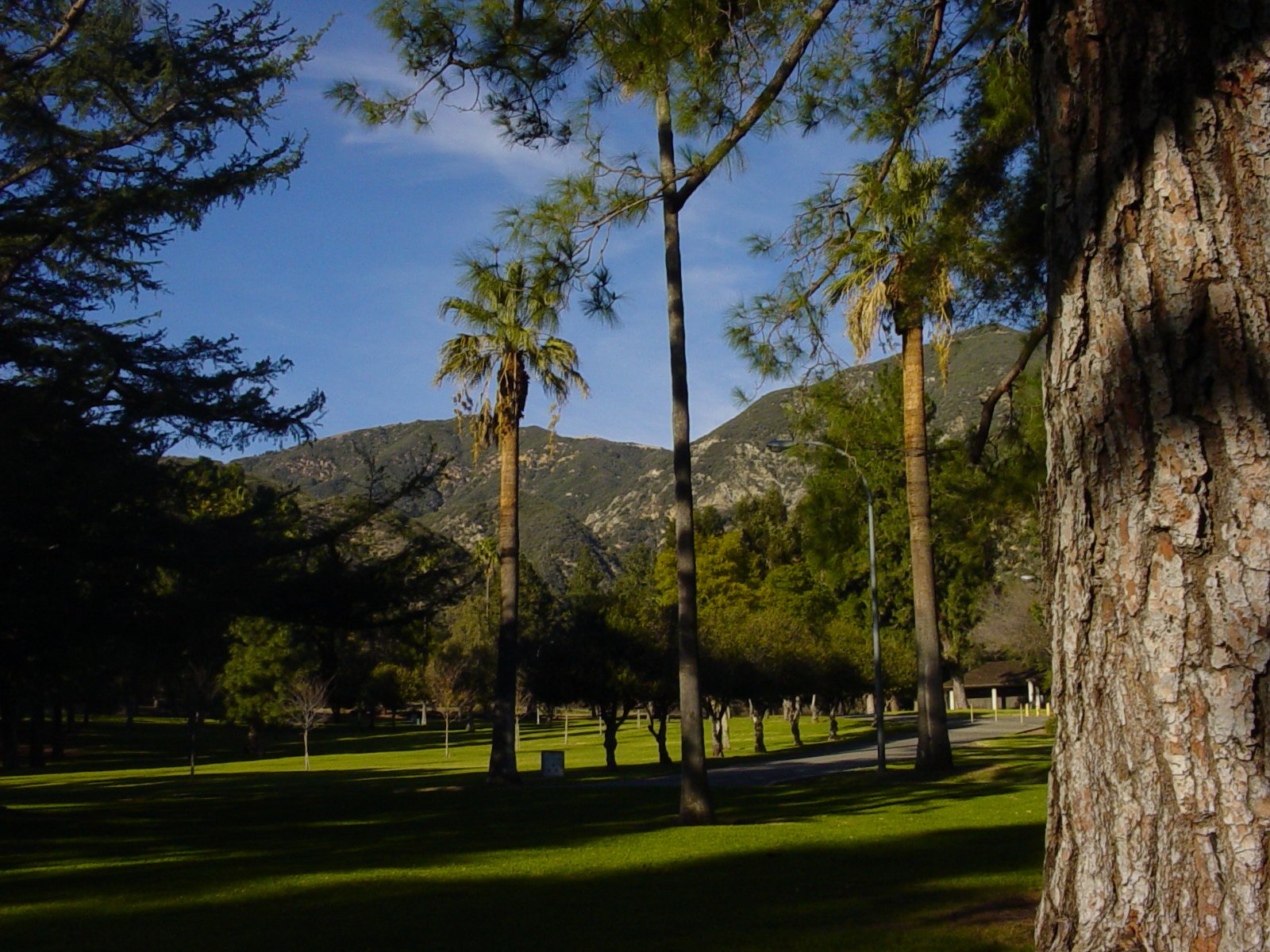 Sylmar Veteran S Park DGC