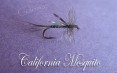 California Mosquito