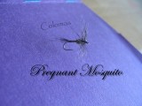 Pregnant Mosquito