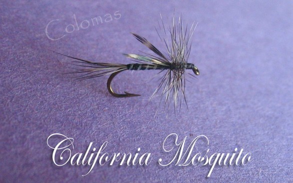 California Mosquito
