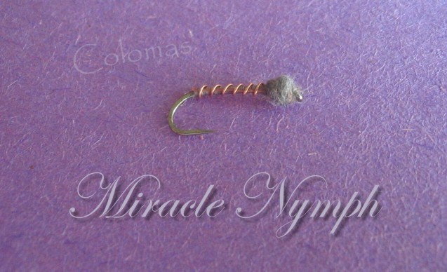 Miracle Nymph