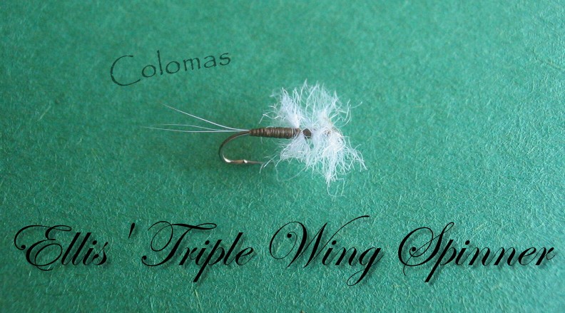 Ellis' Triple Wing Spinner