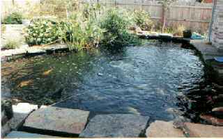 The landscaping aroun the pond is not yet finished. It's a 2001 project.