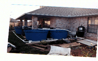 The eight show tanks and filter setup completely covered a 10 x 30 ft. patio.
