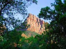 Spectacular Zion Canyon NP