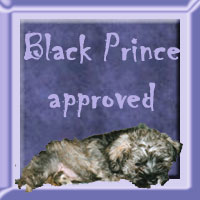Black Prince Award