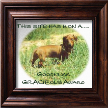 Gracie's Award