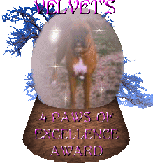 Velvet's Award