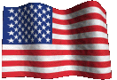 United States flag: Love it or fuck off!