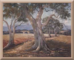 Red Gum - outback art