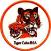 Tiger Cubs BSA.jpg (55823 bytes)