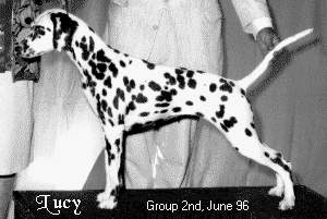 Lucy going Group 2