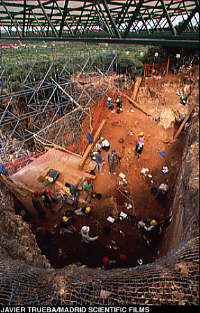 Excavation of the site