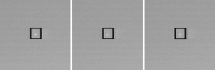 Target in  sequence B frames