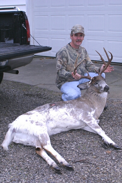 big-buck-in-my-back-yard-in-ohio-youtube