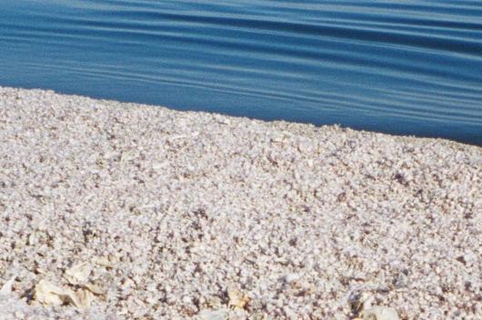 The shoreline at the Salton Sea