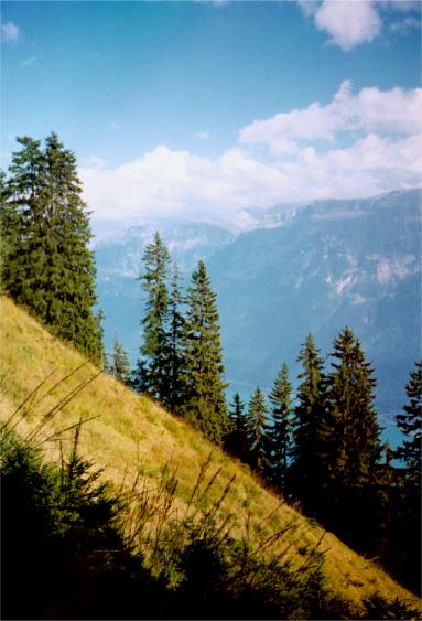 A hike from the Harder Kulm