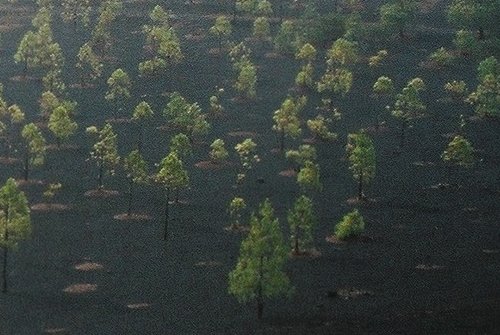 Las Arenas Negras