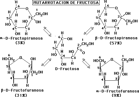 Carbohidratos