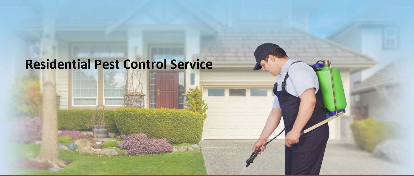resdential-pest-control-service