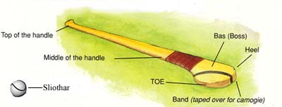 Parts Of The Hurley
