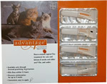 Advantage Flea Treatment for Cats. Orange for cats up to 9 lbs. 4 months - $33.50, 6 months - 48.89, 12 months - $91.89. Purple for cats over 9 lbs. 4 months - $31.50, 6 months - $52.89, 12 months - $96.89.