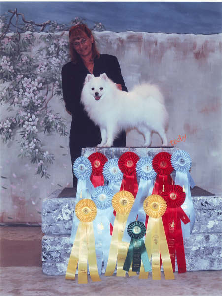 stuffed american eskimo dog