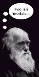 image - Darwin wonders