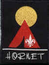 Holy Innocents' Hornet Scout Troop