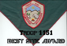 Troop 1151 - Best Site Award