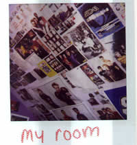 millions, and millions of sum41 posters...