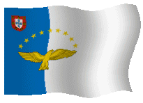 Official Flag of the Azores Autonomous Region