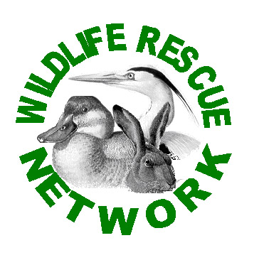 The Wildlife Rescue Network