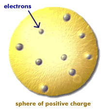 Plum Pudding