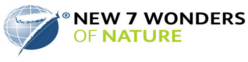 New 7