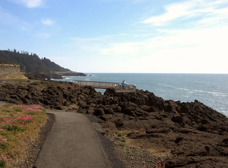 Little Whale Cove Oregon