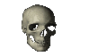 Skull.gif (39850 bytes)