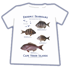 T-Shirt Stamp - Endemic Seabreams of Cape Verde Islands. Photos and Design: Rui Freitas.