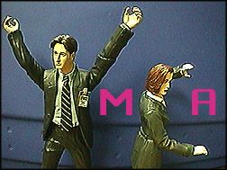Y.M.C.A.