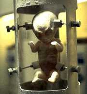 Liquid Nitrogen Baby